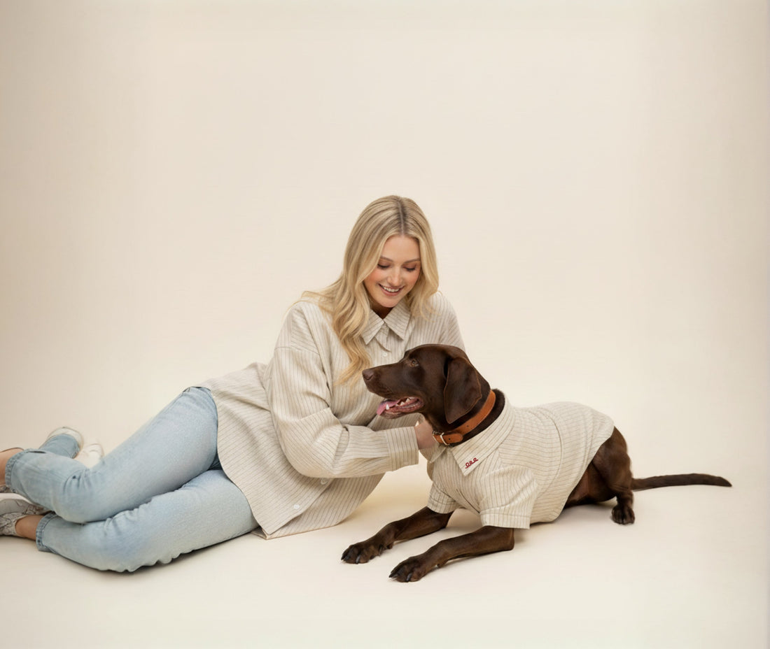 What Makes a Modern Pet Lifestyle Brand?