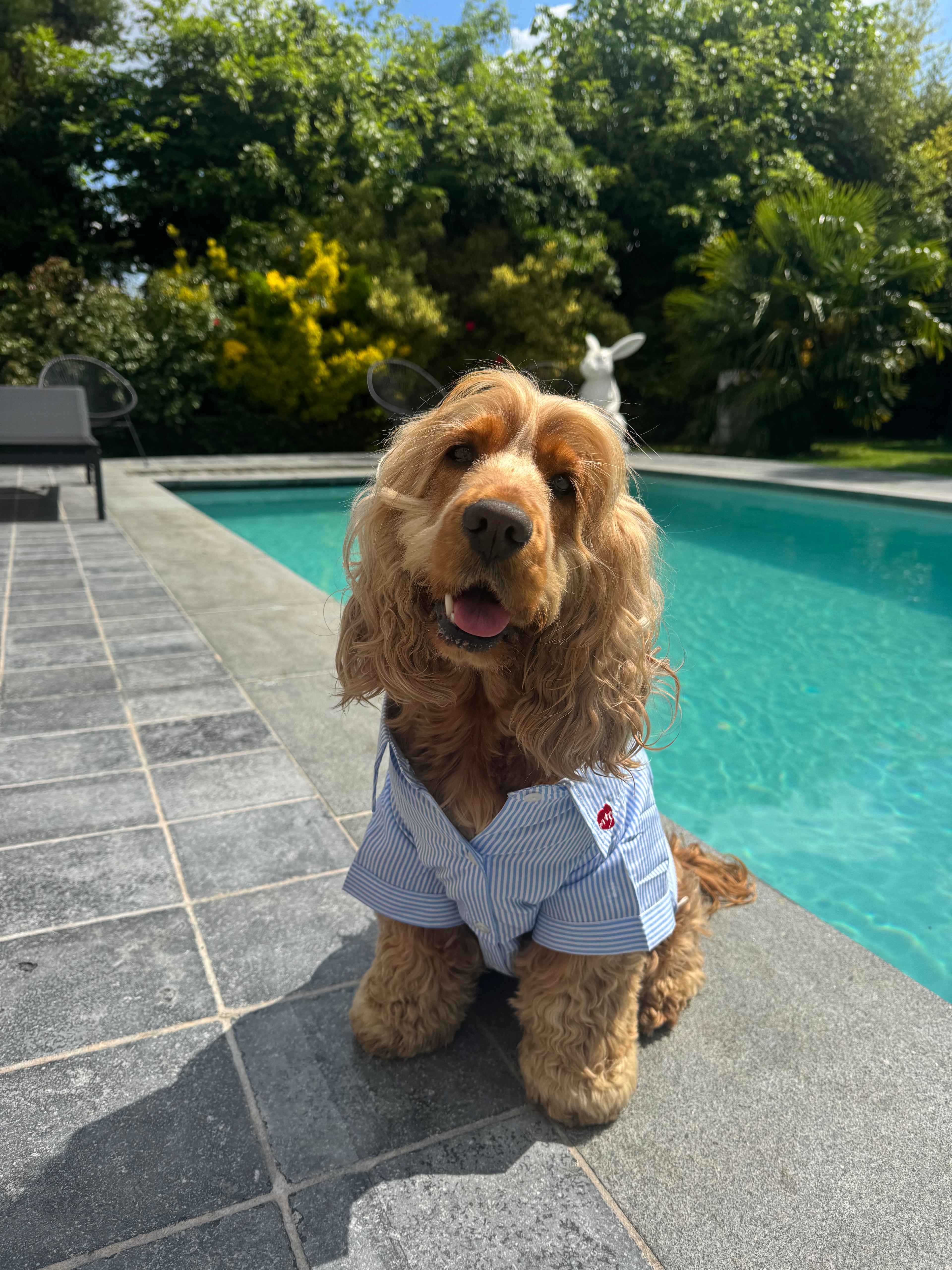 River Shirt Pet
