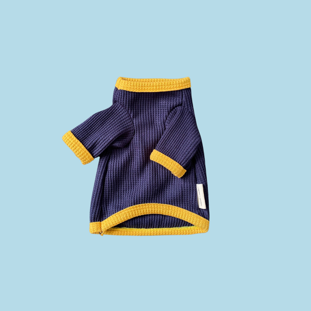 Navy blue pet sweater with yellow trim on a light blue background
