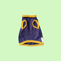 Navy blue pet sweater with yellow accents on a light green background
