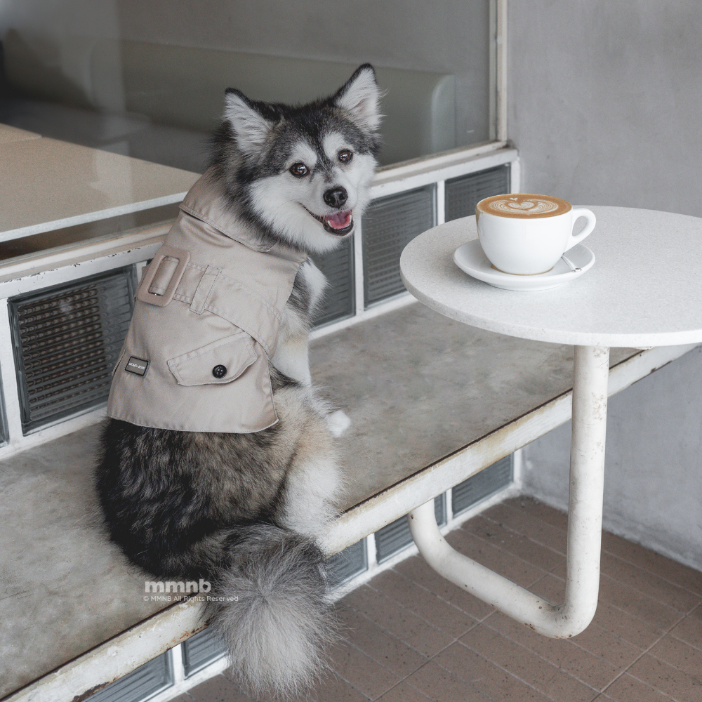 Dog in a beige coat sitting on a table next to a cup of coffee.