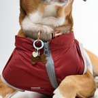 Dog wearing a red coat with a visible brand logo on a white background