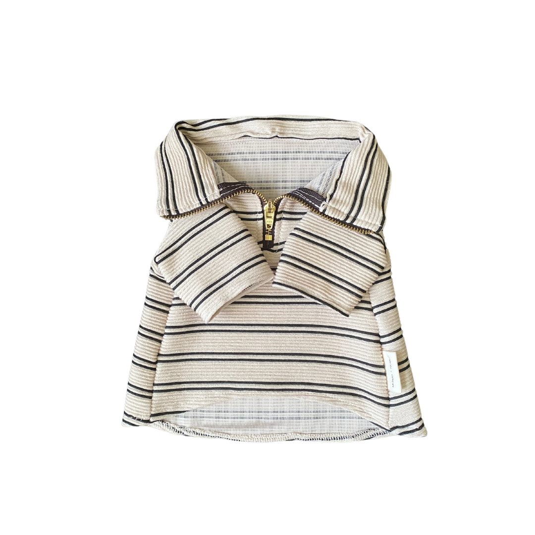 Striped shirt with a collar on a white background