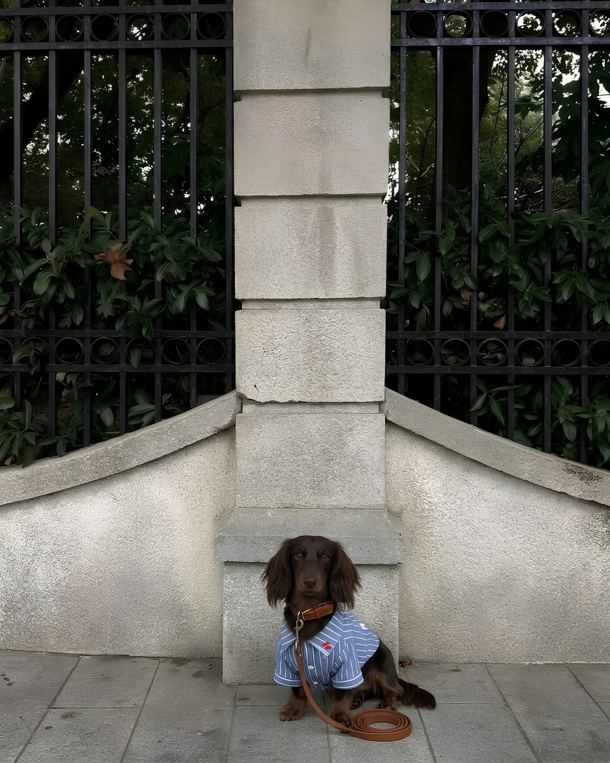 Todd Shirt Pet Lucky Blue