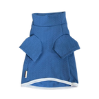 Blue dog sweater on a white background