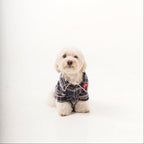 Small dog wearing a plaid jacket on a white background