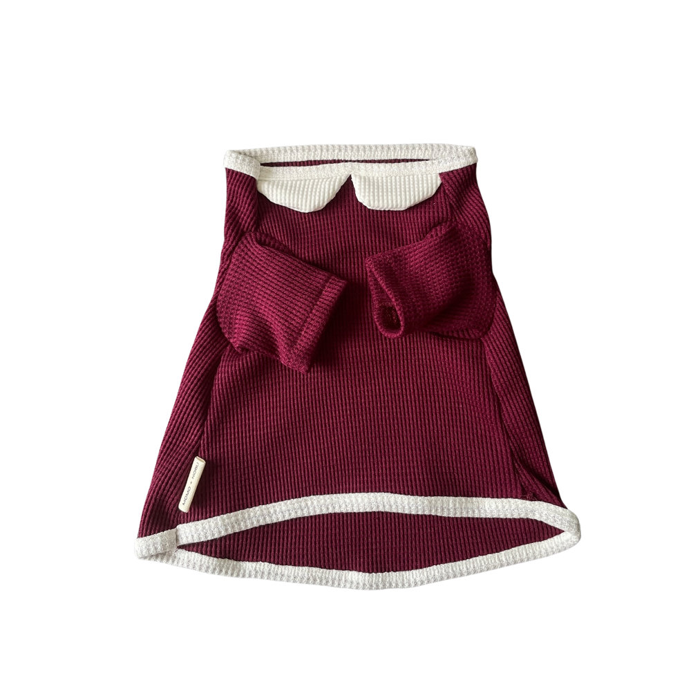 Maroon pet dress with white trim on a white background
