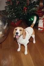I Follow Tee Pet