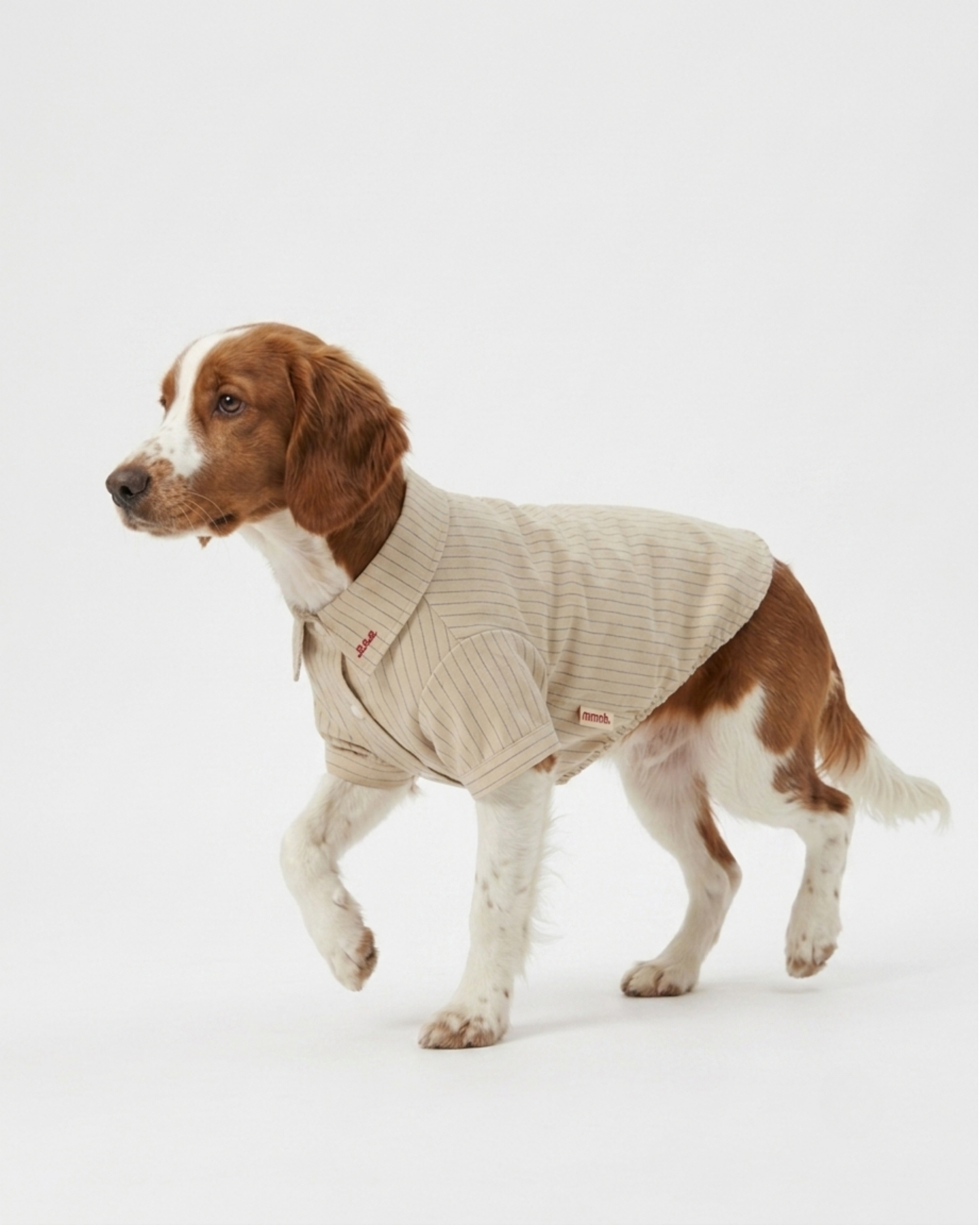 Maddox Shirt Pet in Cream