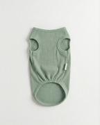 Green dog sweater on a light gray background