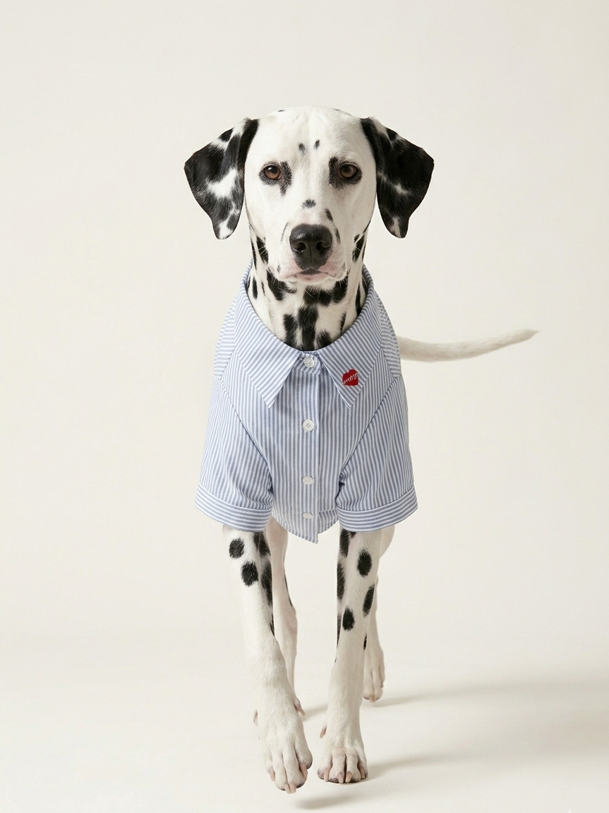 River Shirt Pet