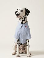 River Shirt Pet