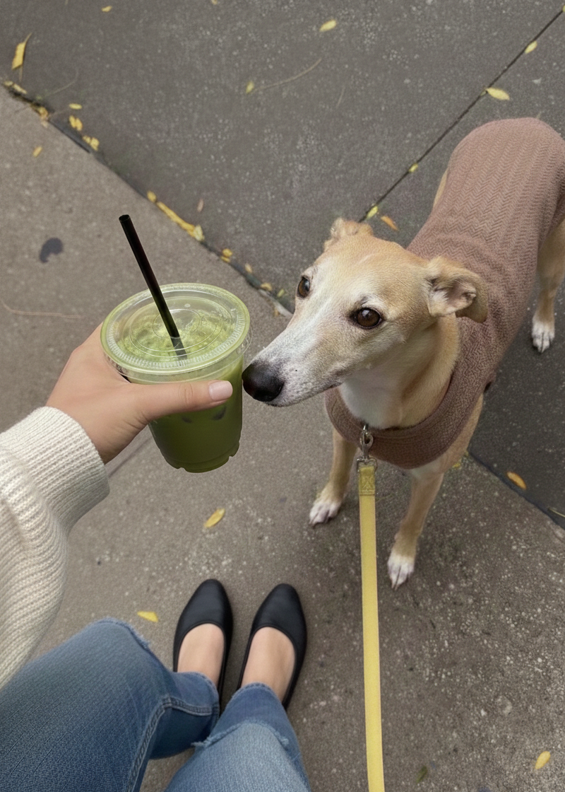 Person holding a green drink with a straw next to a dog on a leash.